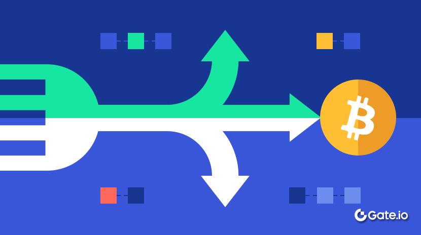 Що таке вилка?