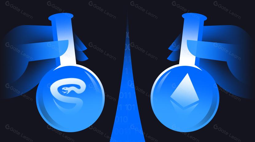 Pemeriksaan Keamanan Penting untuk Pengembang Sebelum Pembaruan Cancun