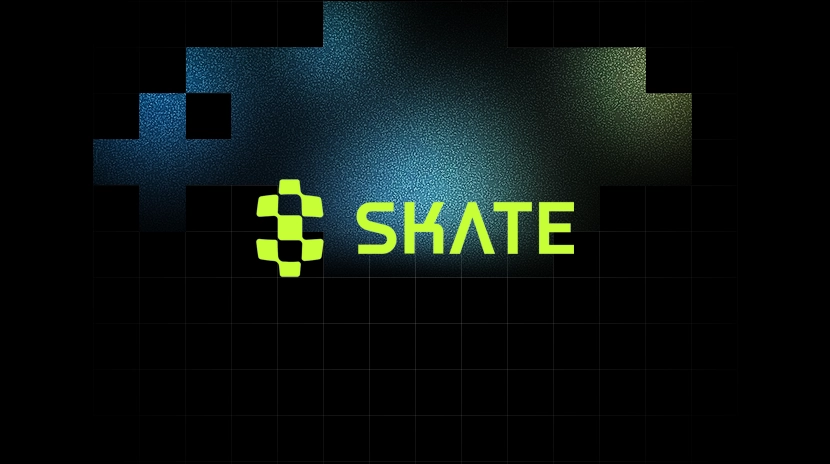 O que é Skatechain?