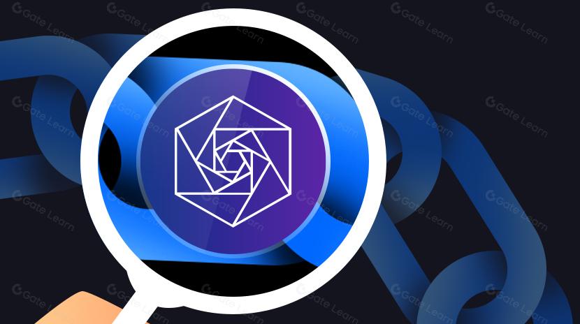 ما هي كوكبة؟ كل ما تريد معرفته عن DAG