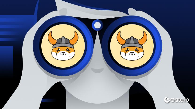 什么是 Floki (FLOKI)？一文读懂 FLOKI