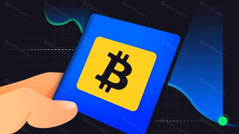 Tổng quan về chu kỳ giá của BTC