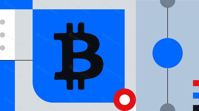 تقرير حالة مجال العملات الرقمية 2024: بيانات جديدة عن الولايات المتأرجحة والعملات المستقرة والذكاء الاصطناعي وطاقة المباني وأكثر من ذلك