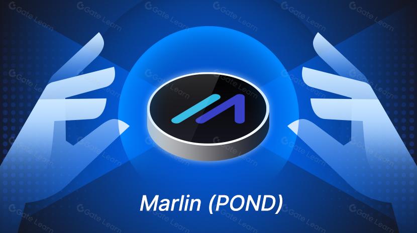 O que é Marlin? Tudo o que o senhor precisa saber sobre o POND