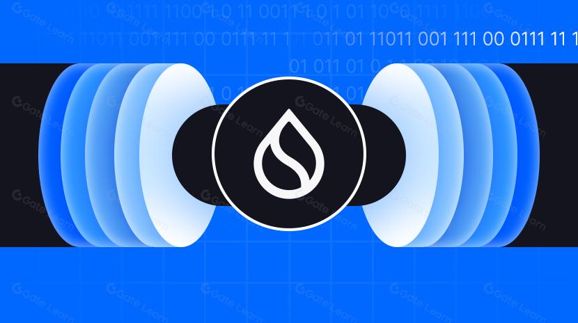 Sui 上买币，去哪个聚合器？