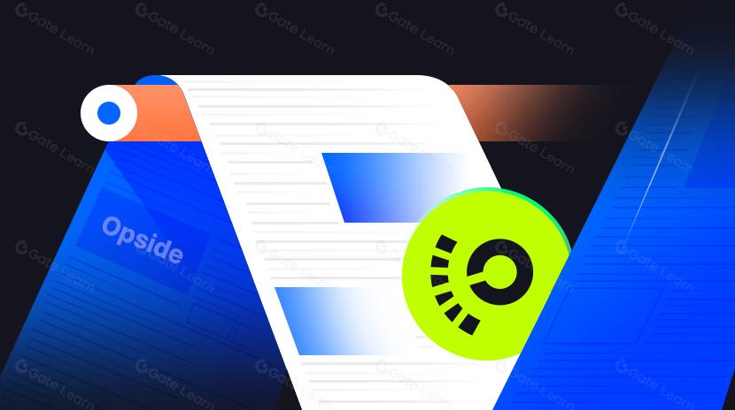 Opsideとは何ですか？