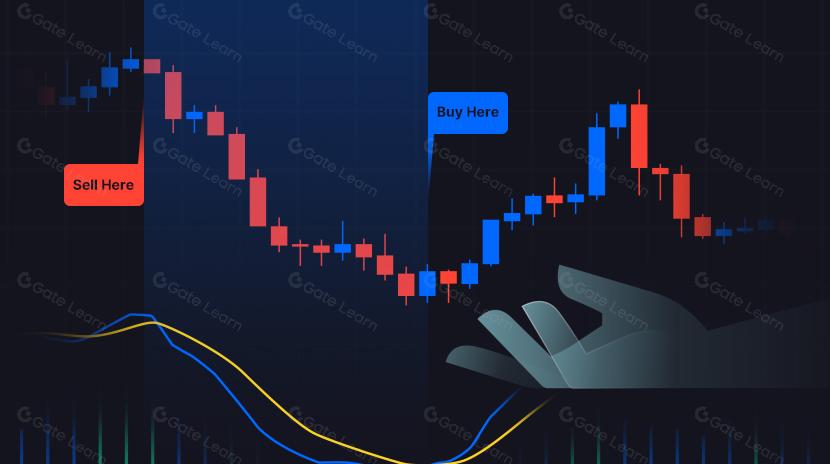 What is the SMI Ergodic Indicator and How to Use it in Trading? [2025 Update] 
