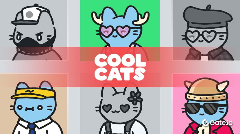 Що таке Cool Cats?