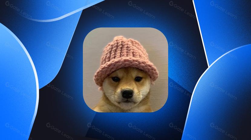 What is Dogwifhat? All You Need to Know About WIF