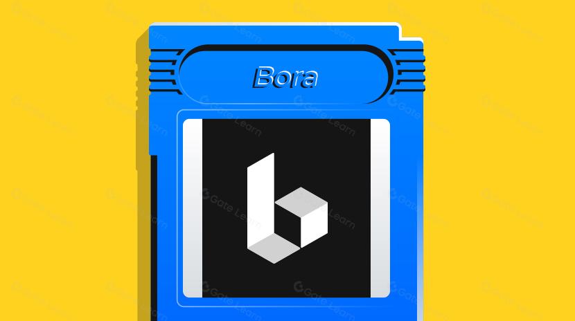 Все, що вам потрібно знати про Bora: постачальника ігрового та розважального контенту