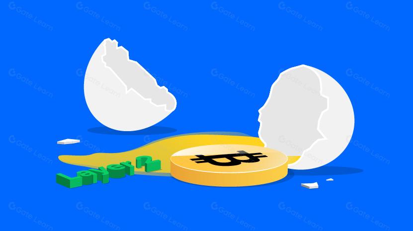 Bitcoin Layer 2 Chaos thực sự là một điều tốt