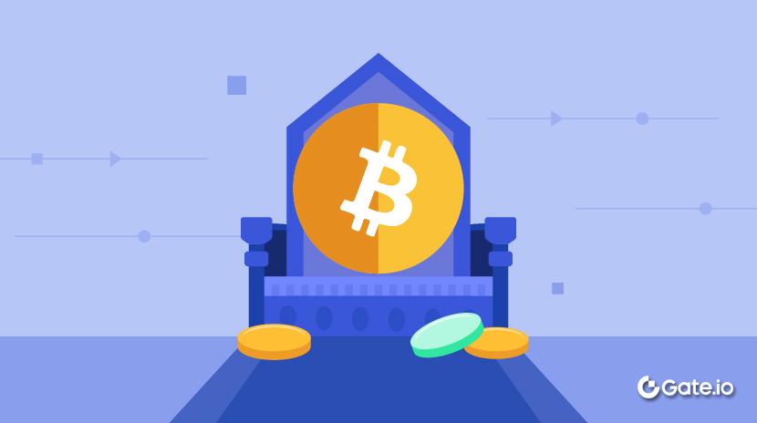 什幺是比特幣至上主義？