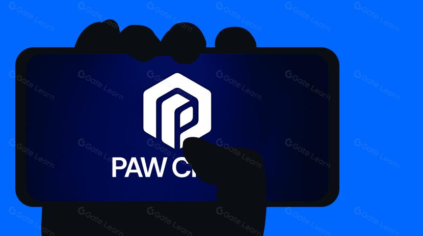 Semua yang Perlu Anda Ketahui Tentang PawChain