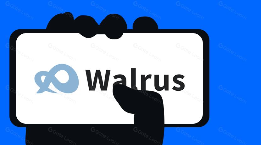 Walrus: Solusi Penyimpanan Multimedia Terdesentralisasi Generasi Berikutnya Sui