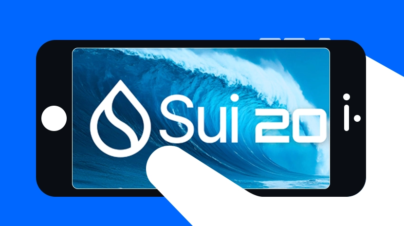 Sui network 的新技術及展望