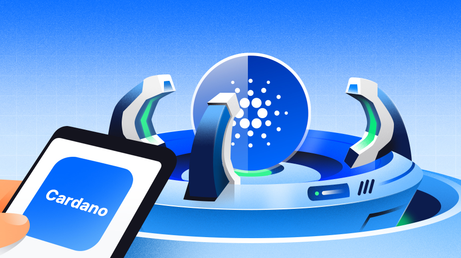 Cardano Connect (CNS) Nedir?