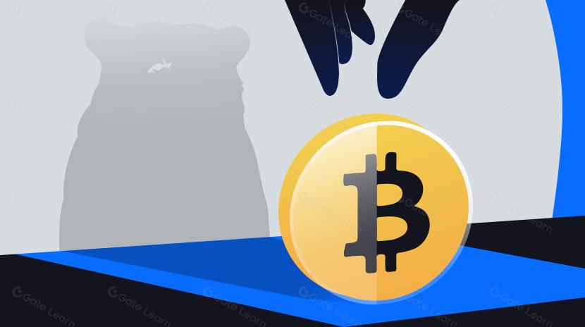 加密货币投资指南：熊市篇