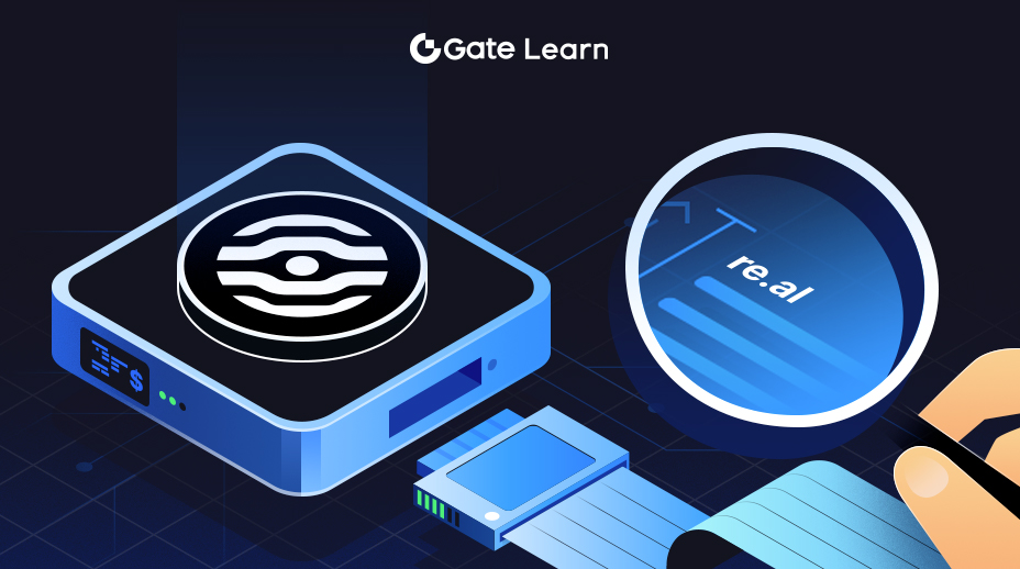 Pengantar mengenai re.al