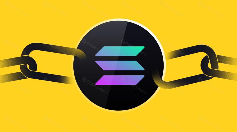 Solana Need L2s And Appchains?