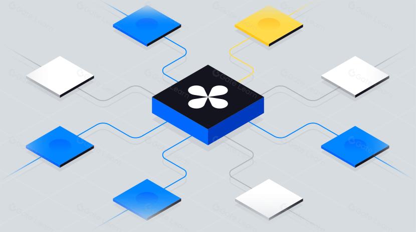 Syntropy: Protokol Lapisan Data Modular lintas Rantai