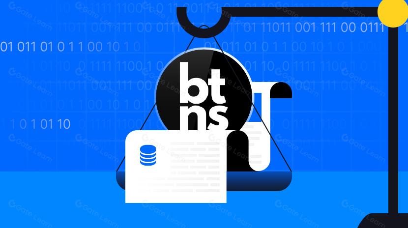 Broadcast Token Naming System（BTNS）là gì?