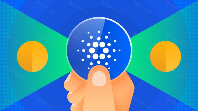 Transacciones Warp: una inmersión profunda en la nueva tecnología de Cardano