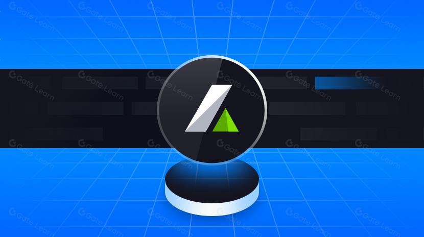 A Comprehensive Guide to LeverFi (LEVER)