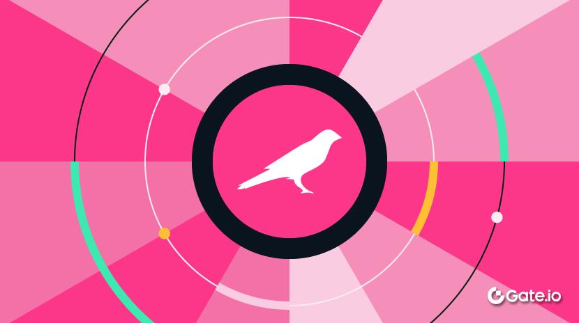 ¿Qué es la moneda Kusama (KSM)?