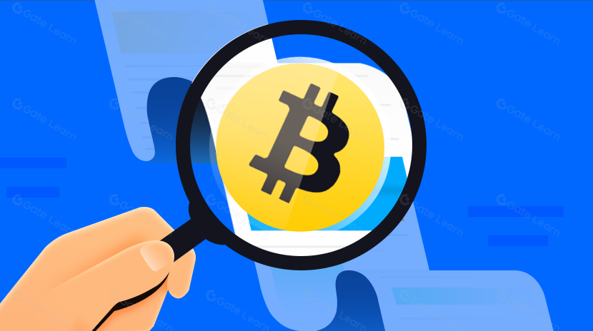 HƯỚNG DẪN ĐẦU TƯ GIÁ TRỊ CHO BITCOIN