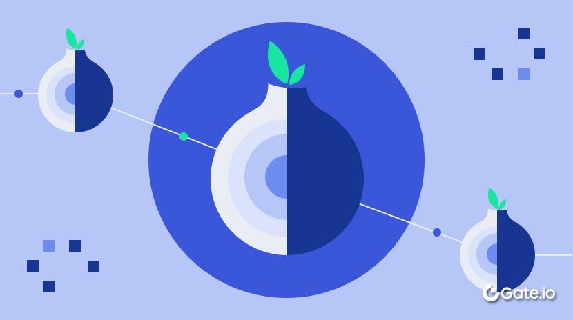 什么是Tor网络？