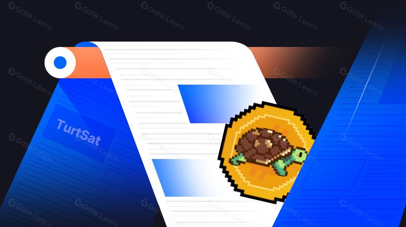 TurtSat:孵化出10倍漲幅$MUBI的「BRC-20實驗」,專註Ordinals生態的IDO平颱能走多遠?