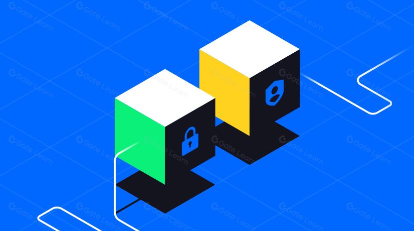 オンチェーンデータを通じたステーブルコインの安全性と規制の理解