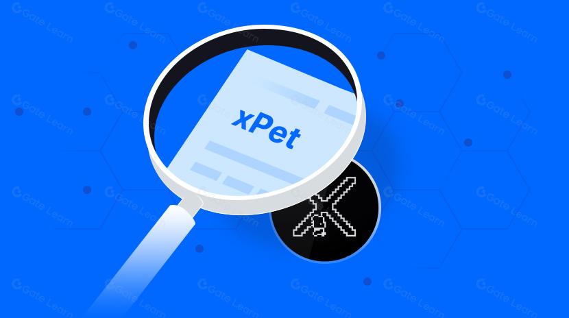 Analisando a tendência do especialista em blockchain xPet Tech a partir de dois elementos principais