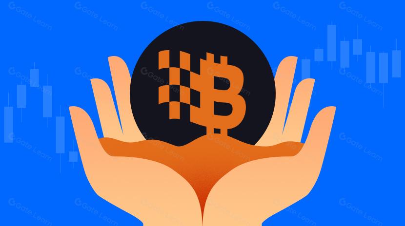  Hệ sinh thái Bitlayer & Tăng trưởng: Những điều bạn cần biết