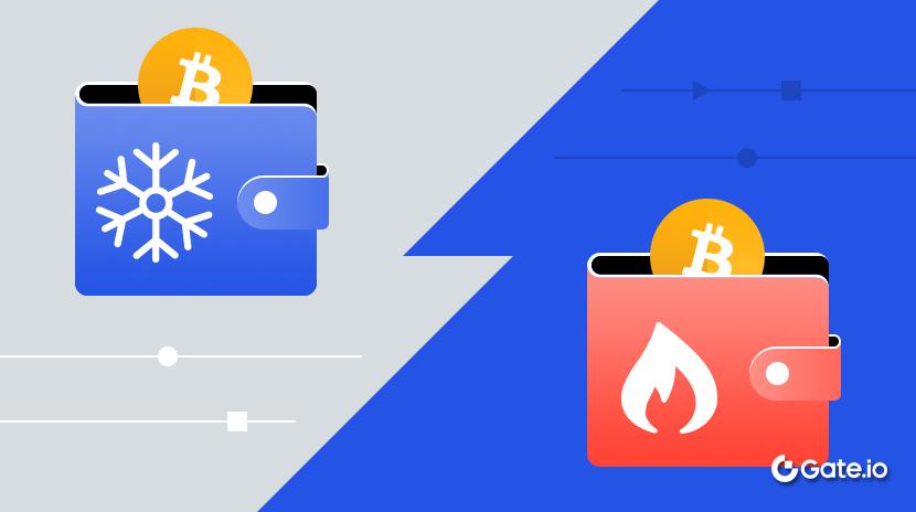 Sự khác biệt giữa Ví nóng và Ví lạnh