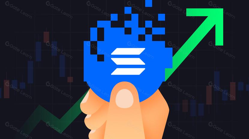 ¿Se unirán los airdrops y los memes de acciones estadounidenses, volverá a cobrar vida el mercado de perros de Solana?