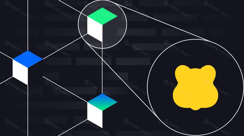 السير نحو الشبكة الرئيسية بيراشين