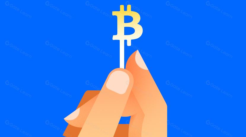 Satoshi, công ty & cá voi: Ai nắm giữ nhiều Bitcoin nhất?