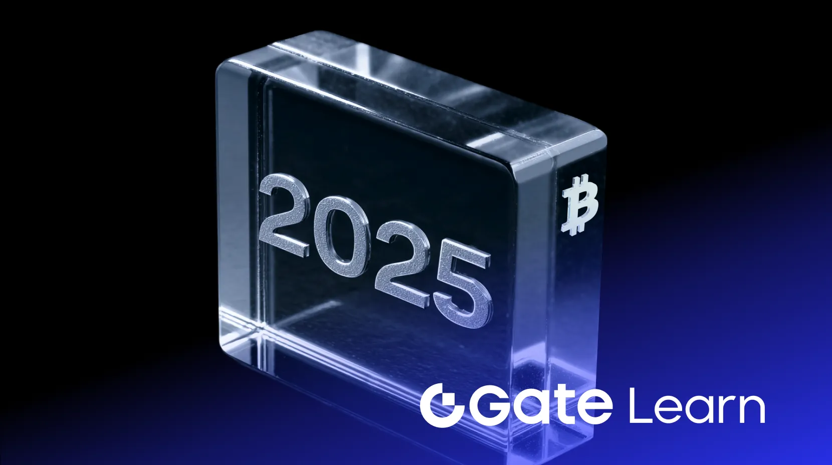 Best Crypto Assets Apps for Beginners in Early 2025