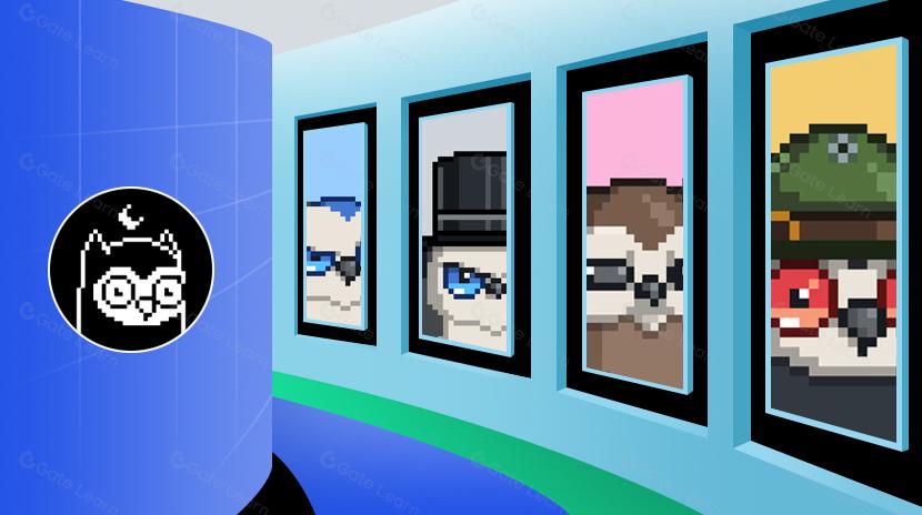 什么是 Moonbirds？