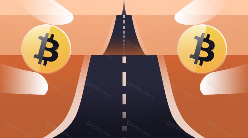 Phân tích theo dõi đầu tư HashKey Capital 2024 Web3