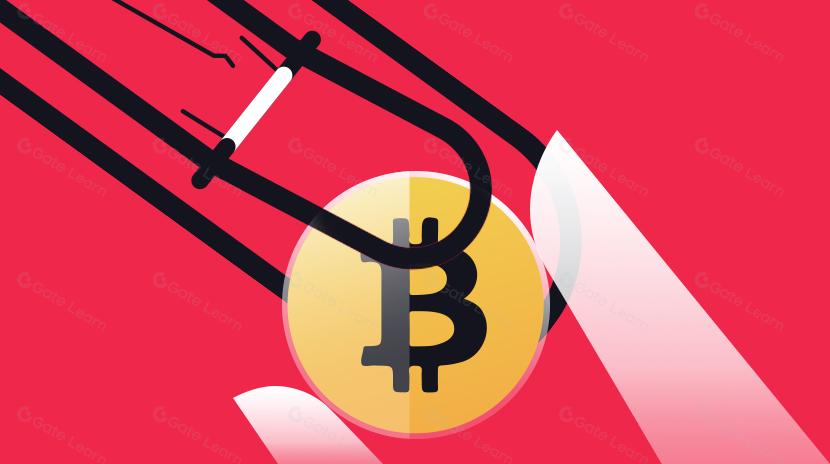 8种方法判断一个代币是否是骗局