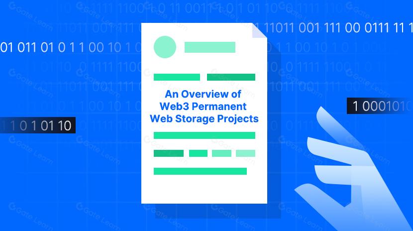 Ferrying to Eternity with Real Data: An Overview of Web3 Permanent Web Storage Projects