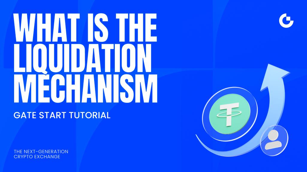 What is the Liquidation Mechanism?