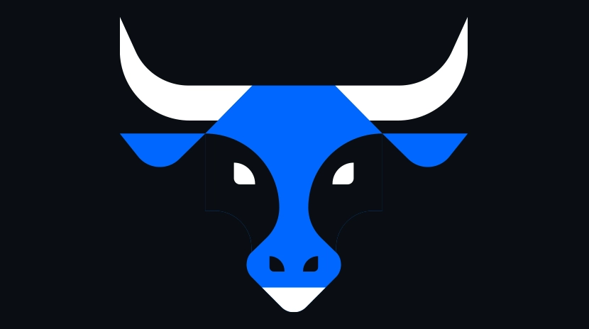 Comportamento do investidor em mercados de alta: Alocação de criptomoedas e análise de tendências