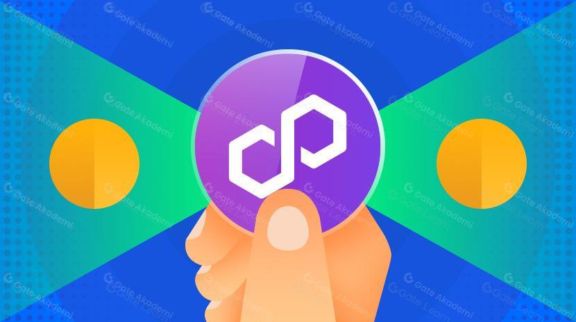 PolygonScan Nedir ve Nasıl Kullanılır?