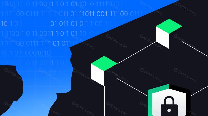 Vitalik Buterin : Comment la technologie zk-SNARK protège-t-elle la vie privée ?