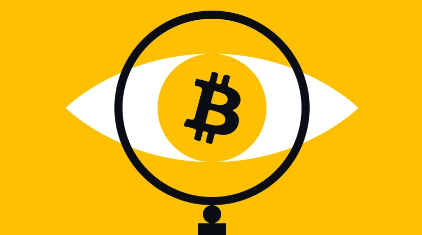 L'état de Crypto : Vérification de la réalité 2025