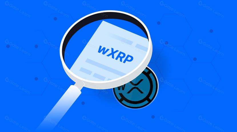 了解打包式XRP (wXRP) 及其工作原理