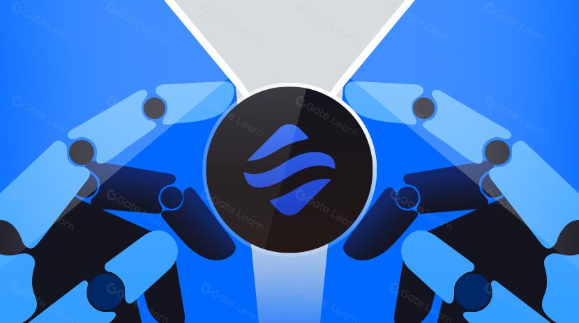 What is Swell Network?